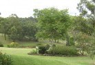 Archdaleresidential-landscaping-40.jpg; ?>